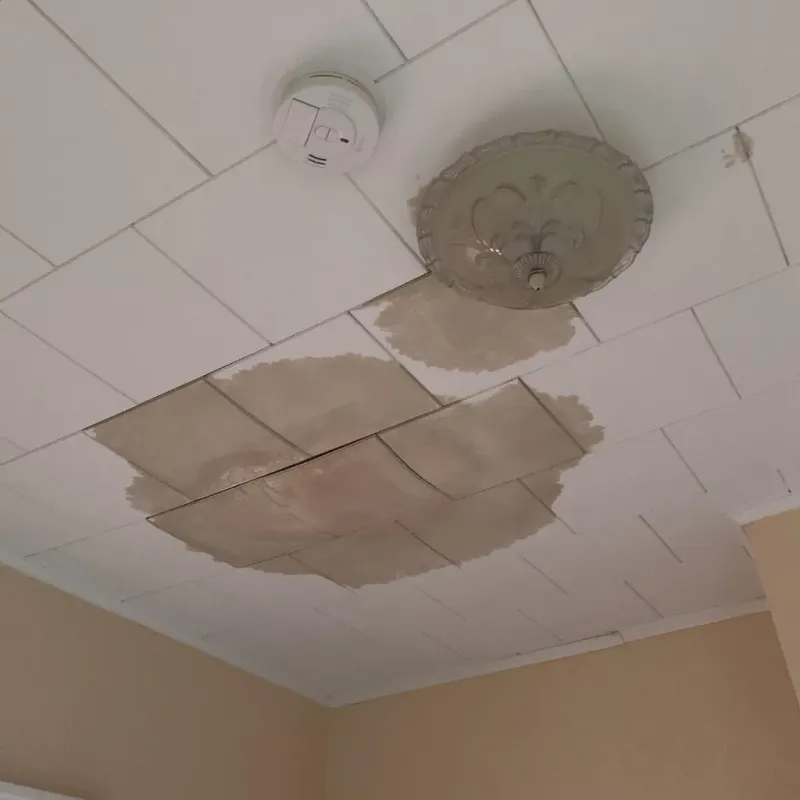 Ceiling Water Damage Repair in Waterville, MN